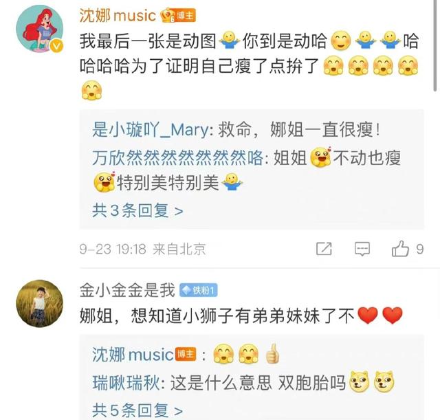 沈腾姐姐沈娜个人资料（沈腾老婆被传怀二胎）(7)