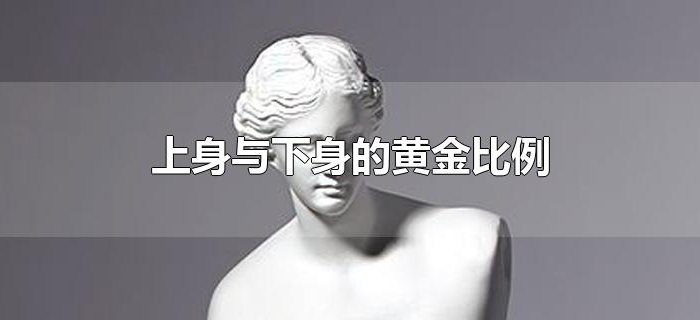 上身与下身的黄金比例