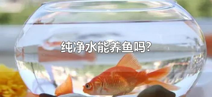 纯净水能养鱼吗?