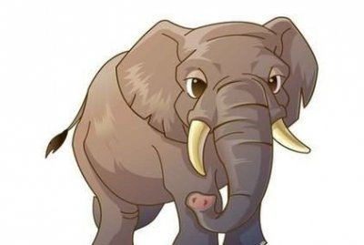 ​为什么大象用鼻子吸水不会被呛到,大象用鼻子喝水的时候会吃到鼻屎吗