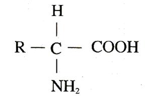 碳基生物哪里来的（碳基生物是怎么回事）(7)