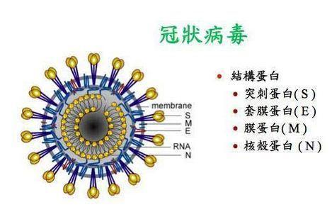 碳基生物哪里来的（碳基生物是怎么回事）(11)