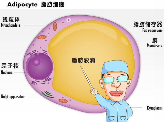 碳基生物哪里来的（碳基生物是怎么回事）(1)