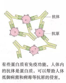 碳基生物哪里来的（碳基生物是怎么回事）(6)