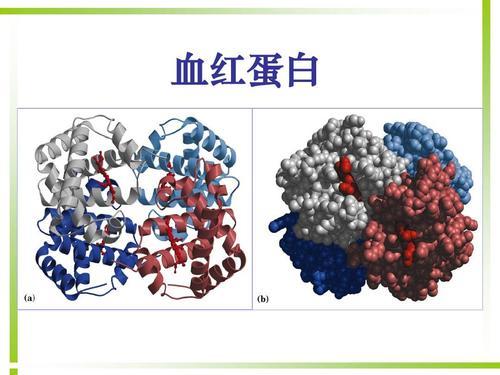 碳基生物哪里来的（碳基生物是怎么回事）(5)