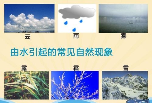 水的不同形态有哪些