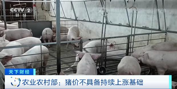 猪肉价格连涨19个月后首次转降（猪肉价格为何涨了）(2)