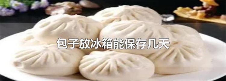 肉包子可以在冰箱里放几天再包吗