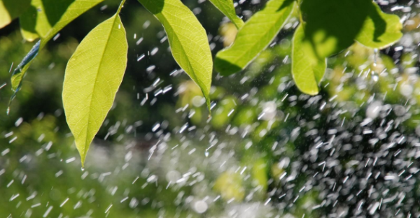 为什么很多人在下雨天会睡得更香,为何人在下雨天睡得很香呢图6