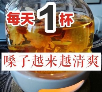 ​用什么泡水喝润嗓子,什么泡水喝了对嗓子好