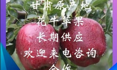 ​花牛苹果几月成熟上市,富士苹果都有哪些品种