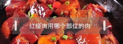 ​红烧肉一般买哪个部位,做红烧肉用哪个部位的肉比较好