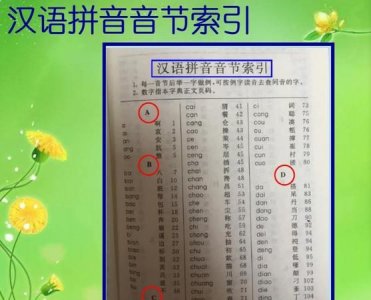 ​音节音序，“音节”是拼音吗，“音序”是这个字的大写字母吗？