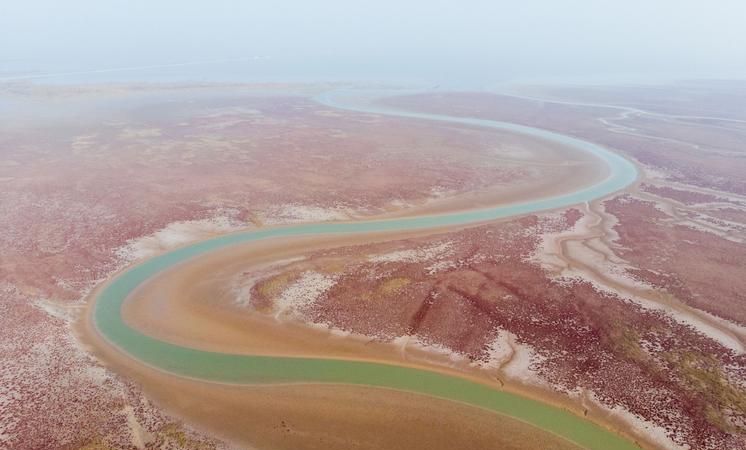 写出黄河干流从源头到入海口依次流经的省级行政单位的简称