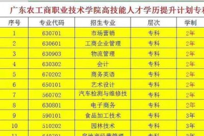 ​业余中专报考条件,中专学历查询报告编号是什么