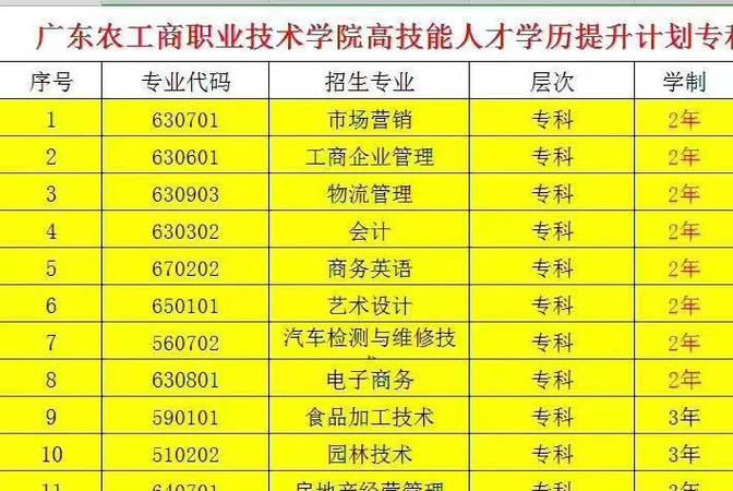 中专学历查询报告编号是什么