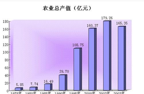 总产值什么意思