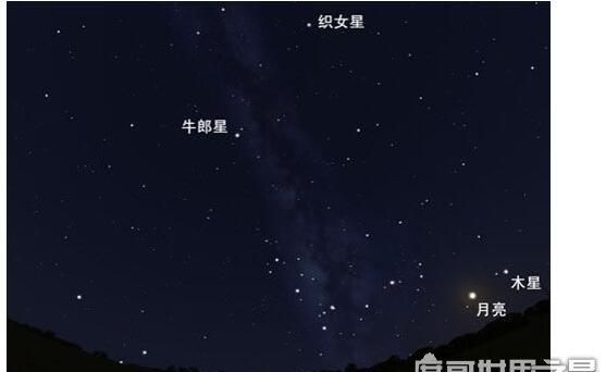 牛郎星是属于什么星座：“牛郎星”位于哪个星座