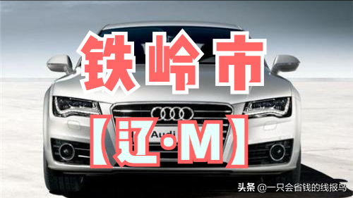 辽宁省车牌号字母代表(辽宁省14个城市车牌号)