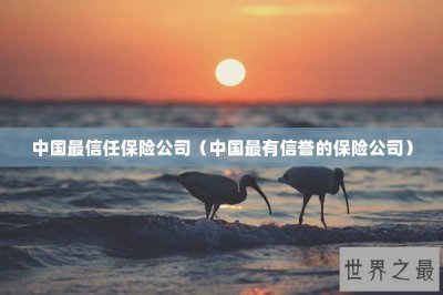 ​中国最信任保险公司（中国最有信誉的保险公司）