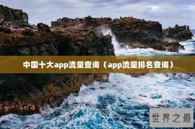 ​中国十大app流量查询（app流量排名查询）