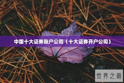 ​中国十大证券账户公司（十大证券开户公司）