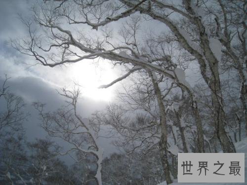 美国人眼中的世界十大雪城，这个点评凸显了美国人的自恋