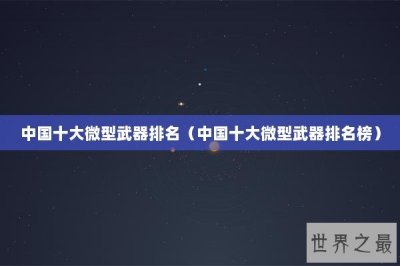 ​中国十大微型武器排名（中国十大微型武器排名榜）