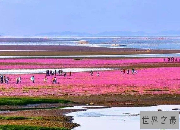 中国最大的淡水湖3960平方公里，像一个巨大的葫芦