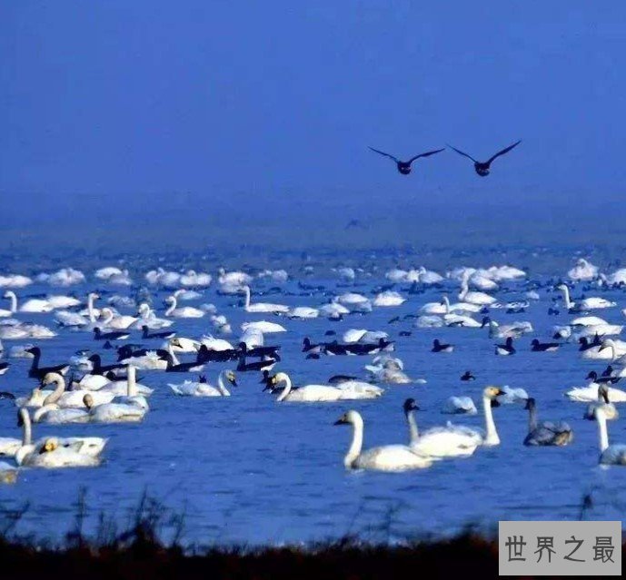 中国最大的淡水湖3960平方公里，像一个巨大的葫芦