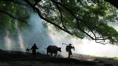 ​“三和大神”已成为一种生活态度