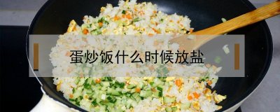 ​蛋炒饭什么时候放盐