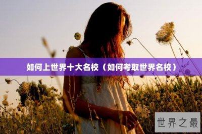 ​如何上世界十大名校（如何考取世界名校）