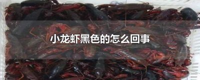 ​小龙虾为什么黑黑的 小龙虾肉质发黑