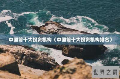 ​中国前十大投资机构（中国前十大投资机构排名）