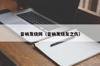 ​音响发烧网（音响发烧友之伤）