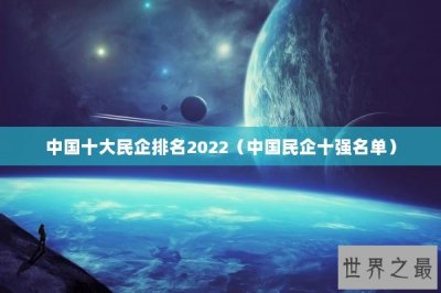 ​中国十大民企排名2022（中国民企十强名单）