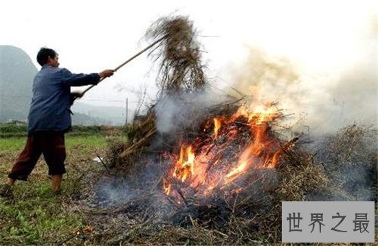 全球变暖的十大主要原因，为什么我们的地球越来越糟糕？