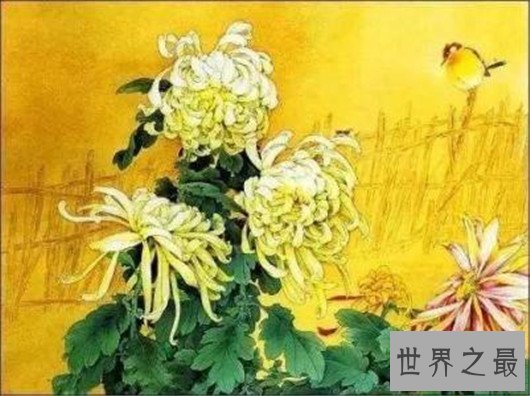 重阳节的来历和传说，关于重阳节的故事