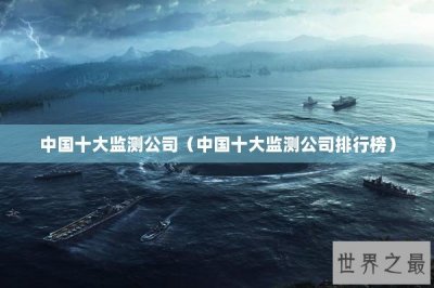 ​中国十大监测公司（中国十大监测公司排行榜）