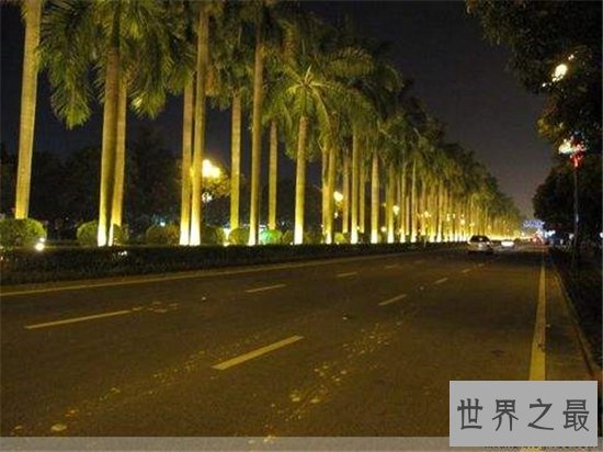 全球最著名的十大街道，这些街道简直比5A级景点还要美！