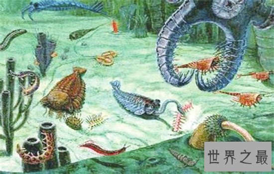 奥陶纪十大恐怖生物，有些生物至今还存在于海洋中