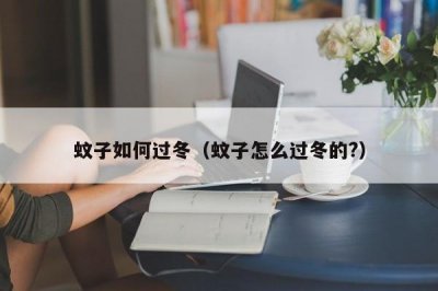 ​蚊子如何过冬（蚊子怎么过冬的?）