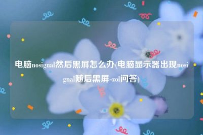 ​电脑nosignal然后黑屏怎么办(电脑显示器出现nosignal随后黑屏-zol问答)