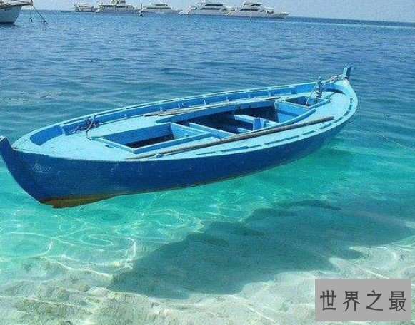 世界上最透明的海，海区透明度达到72米