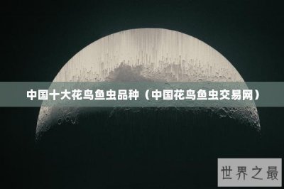 ​中国十大花鸟鱼虫品种（中国花鸟鱼虫交易网）