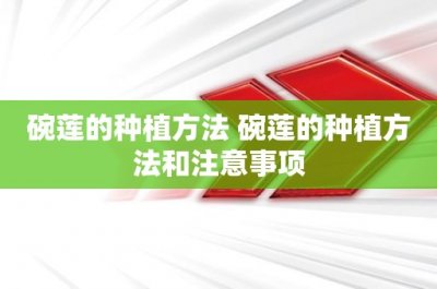 ​俄乌局势进展：俄对乌发起密集导弹打击 乌总统称俄导弹袭击致6人死亡