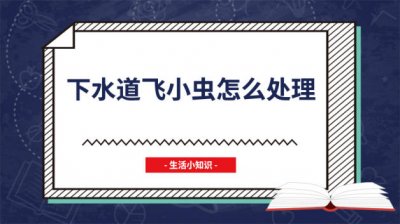 ​下水道飞小虫子怎么办 如何解决下水道小飞虫