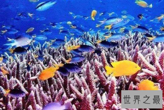 世界上最大的海，梦幻无比，接近半个中国大