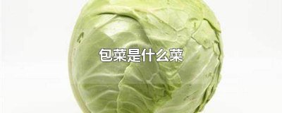 ​包菜是不是绿色蔬菜 菜包为什么菜那么绿色